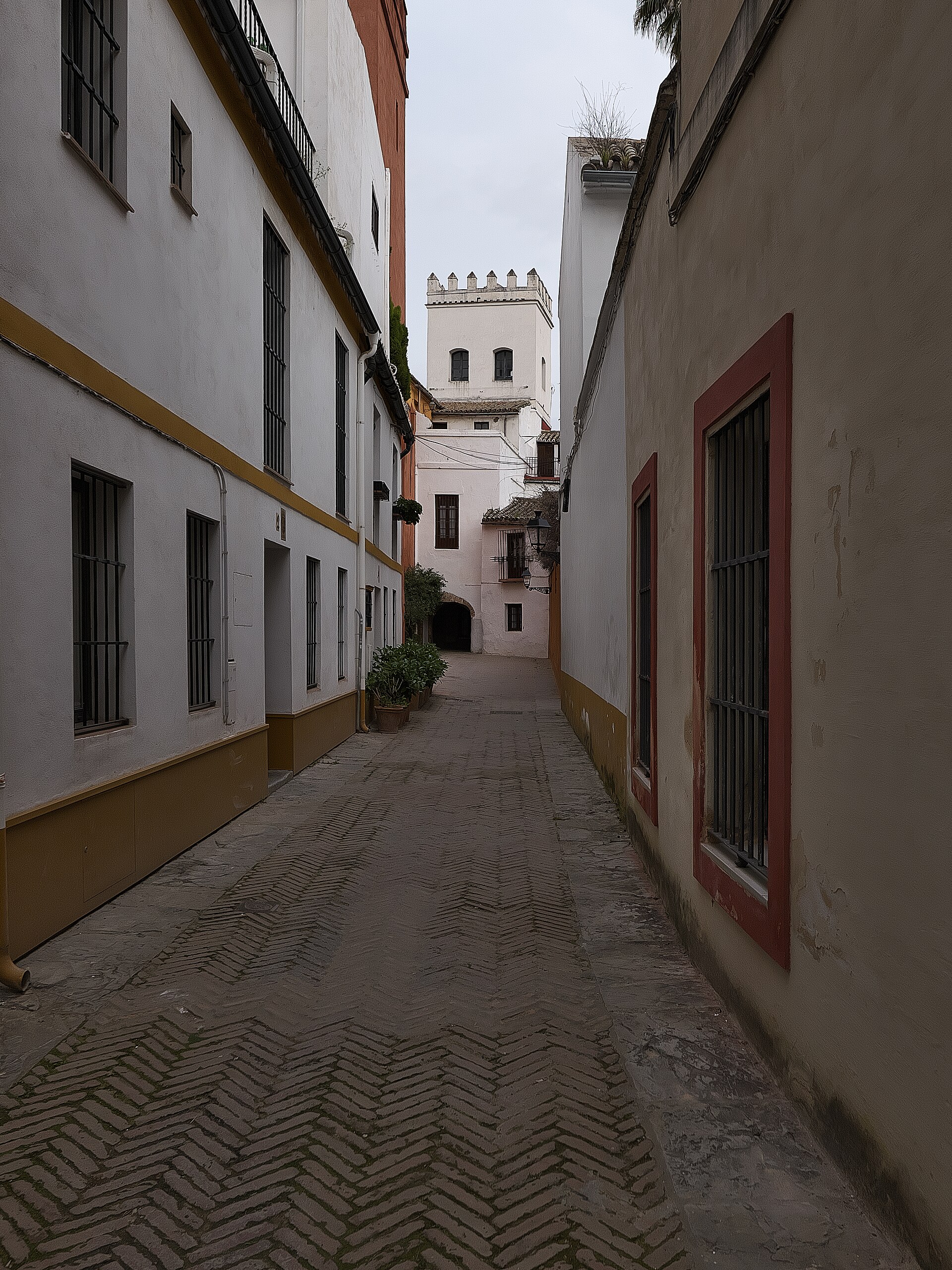 Smalle straat in de wijk Santa Cruz in Sevilla